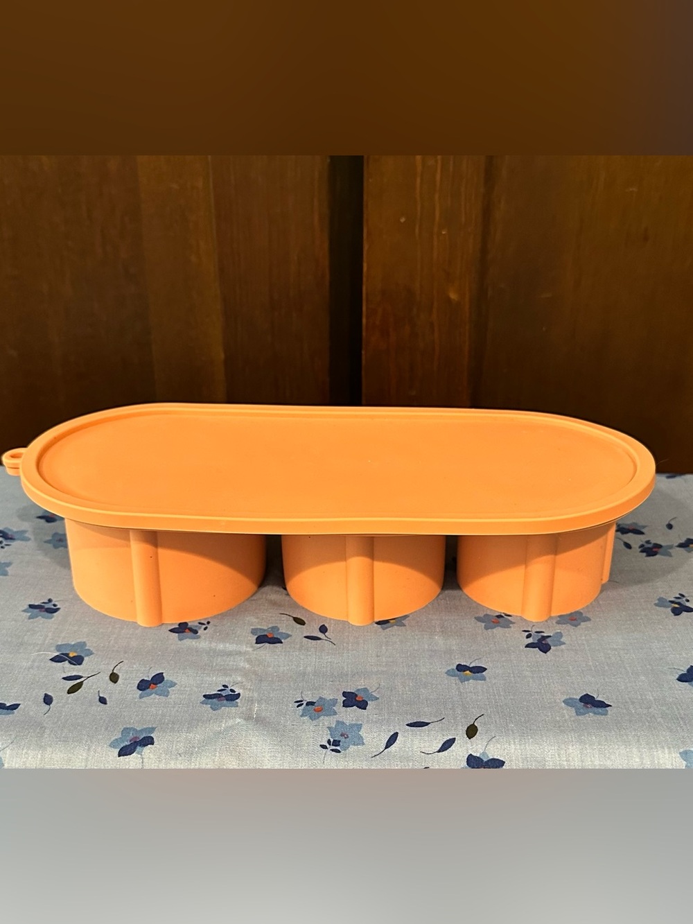 Silicone • large ice mold • lidded • new